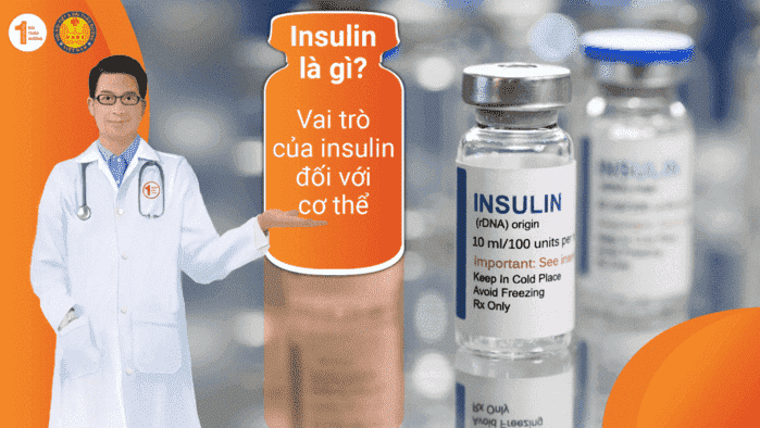 Insulin đóng vai trò vô cùng quan trọng với những chuyển hóa cơ bản trong cơ thể